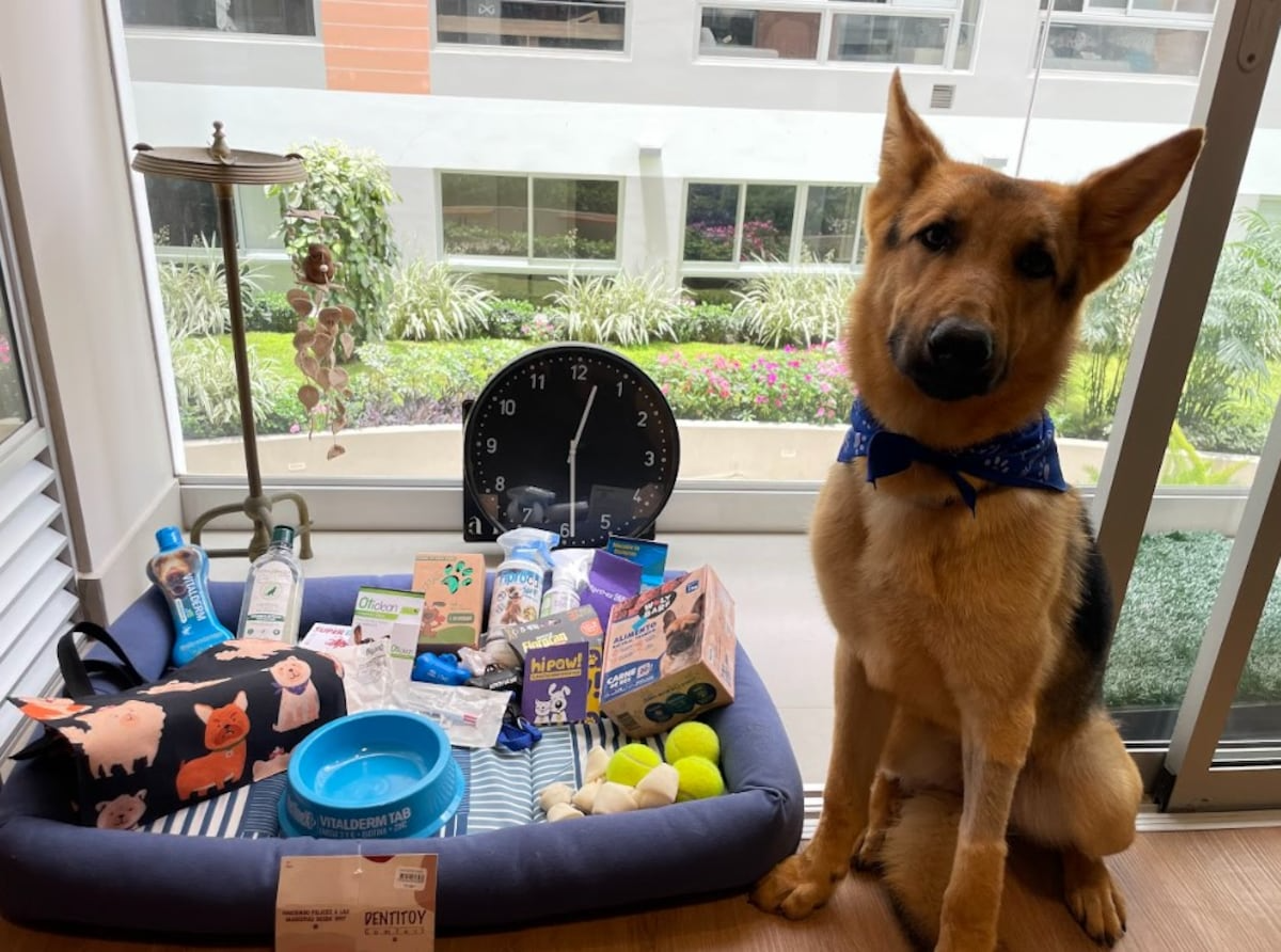 Con la jubilación llega un nuevo amigo: mujer adopta un perro de WUF tras su retiro